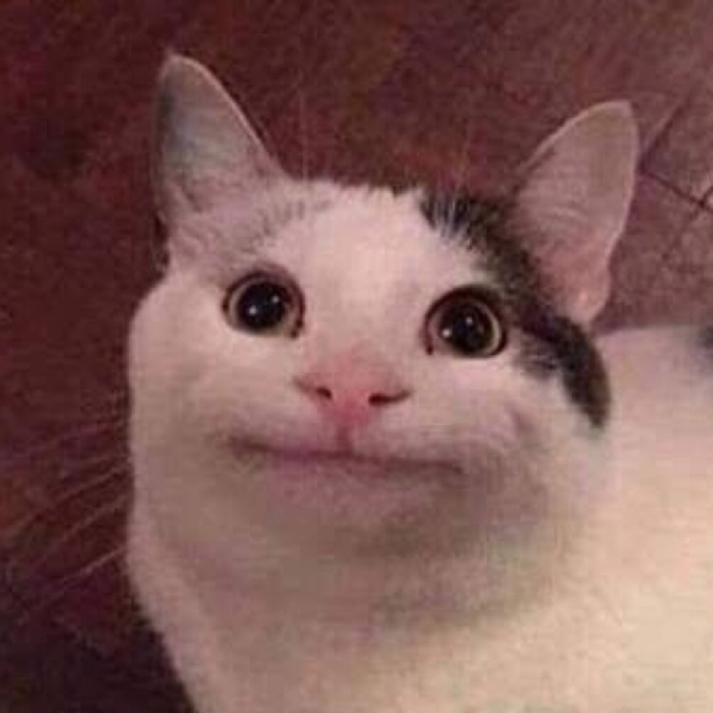 Meet your Posher, Kelsea